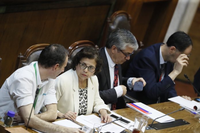 Ministra Williams Congreso