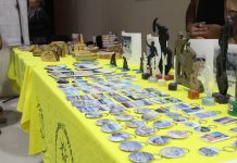 Diego de Almagro celebra su identidad y tradición en el Festival Cerrando el Verano en Comunidad