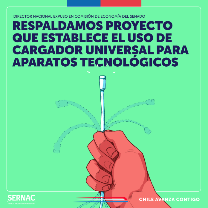 16_04_24 Gráfica cargador