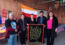 CONADI y Seremi Desarrollo Social constataron proyecto que renueva sistema fotovoltaico y pozo en San Pedro