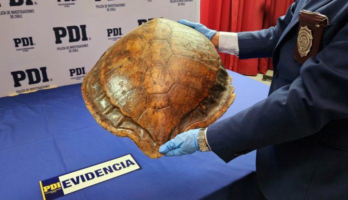 Diligencia Bidema 26.04.24 05