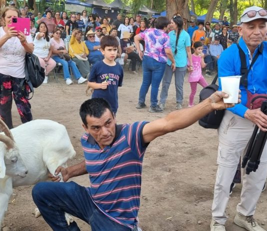 Exitoso Festival del Criancero en Alto del Carmen rescató la cultura de la trashumancia
