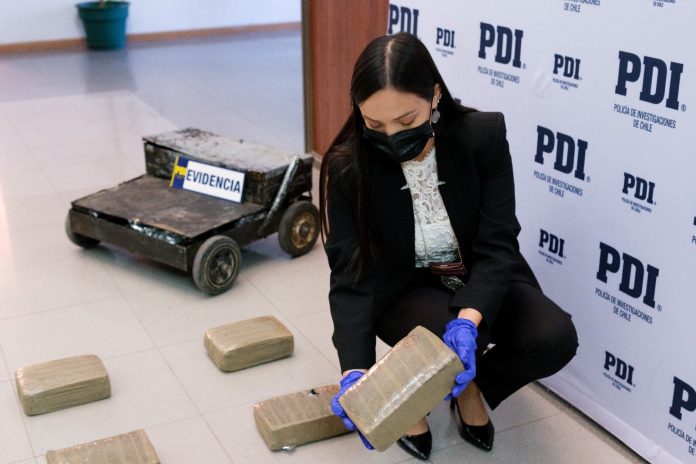 Operativo Brianco Cannabis 12.04.24 06