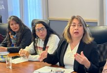 CORES de Atacama fueron críticos ante lento avance del Plan Freirina Sustentable