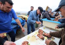 Destacan aporte de programa de la UCN para el Desarrollo Sosteniblede la Acuicultura de Pequeña Escala