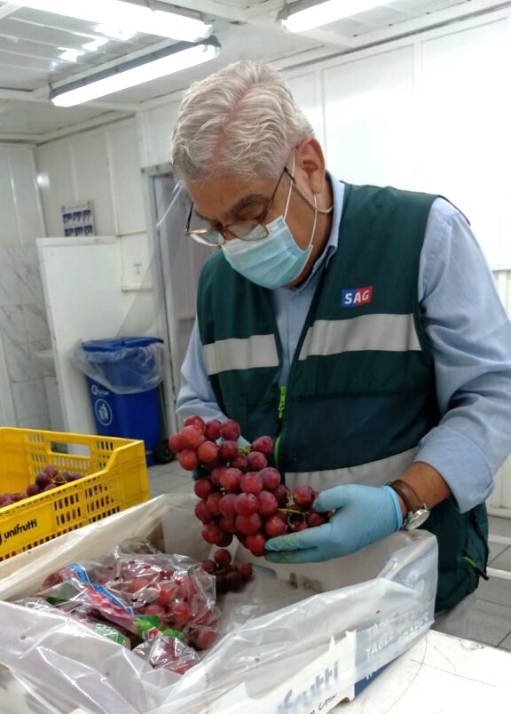 inspeccion