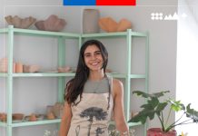 Seremi de Economía, Makarena Arias Vargas y Sercotec, invitan a Postular al Capital Abeja Emprende