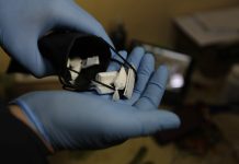 OPERATIVO MT-0 PERMITIÓ LA DETENCIÓN DE DOS PERSONAS POR MICROTRÁFICO DE DROGAS EN VALLENAR