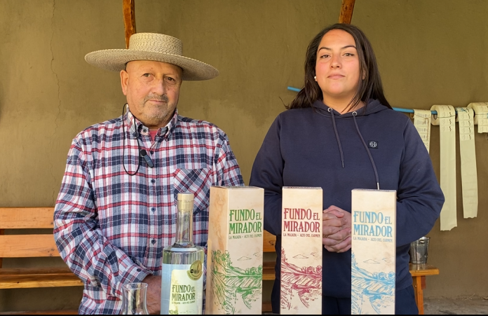 Pisco Fundo El Mirador