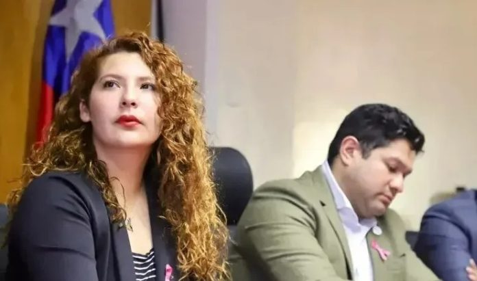 seremi de gobierno atacama (1)