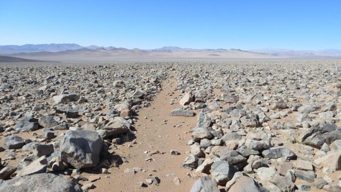 1 Camino del Inca atacama fuente Museo Nacional de Historia Natural