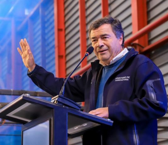 Chile y EE. UU. acuerdan puesta en marcha del Systems Approach para la uva de mesa chilena