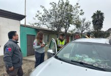 En Huasco: Retiran de circulación vehículos que realizaban servicios de transporte público irregular
