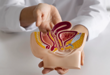 Día Mundial del Cáncer de Próstata: Jefe de Urología de Clínica Las Condes explica la importancia de los exámenes preventivos y desestima el “mito del tacto rectal”