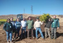 Director nacional del SAG en Atacama destacó nuevo protocolo fitosanitario para exportaciones de uva de mesa