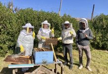 Seremi de Economía visita Cooperativa Apihuasco en el marco del Día de las Cooperativas