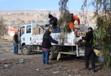 Vallenar: Mas de tres toneladas de basura fueron retiradas de un sector del Paseo Rivereño