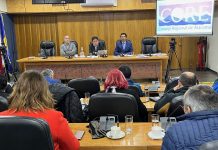 Pleno del CORE Atacama alza la voz con voto político por nula compensación en cobros de la luz a pesar de la gran instalación de fotovoltaicas en la región