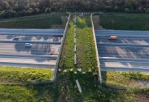 Diputado Jaime Mulet solicitó al Presidente la implementación de una política de “pasos de fauna” en las carreteras del país