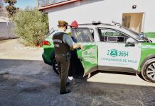 En Paipote un Hombre de 38 años con 24 reiteraciones fue detenido por desacato y orden vigente