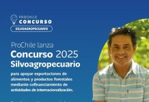 Directora Regional de ProChile Atacama invita a participar en Concurso Silvoagropecuario 2025