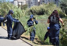 Alcalde de Vallenar satisfecho ante anuncio del MOP sobre limpieza de cañas en Paseo Ribereño
