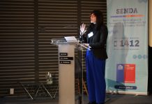 Directora de SENDA en seminario de reducción de daños: “Debemos buscar enfoques innovadores y efectivos”