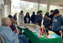En Huasco se realizará el próximo jueves la expo libros “Lecturas para la Adolescencia y Niñez”