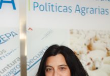 Exportaciones de mieles crecieron en volumen 66% en enero-junio de 2024