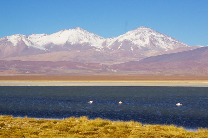 Ojosdelsalado