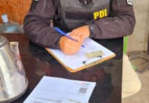 PDI ATACAMA DENUNCIÓ A 12 CIUDADANOS EXTRANJEROS TRAS OPERATIVOS EN DIEGO DE ALMAGRO Y EL SALVADOR