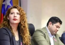 Seremi de Gobierno destaca avance en creación del Ministerio de Seguridad Pública