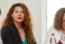 Seremi de Gobierno Sofia Vargas Roberts se refiere al compromiso de Chile con la paz y los derechos humanos en la ONU