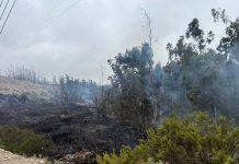Vallenar se mantiene en alerta Amarilla tras incendio en Quebrada Honda