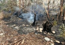 SE CANCELA LA ALERTA AMARILLA DECRETADA POR INCENDIO EN QUEBRADA HONDA COMUNA DE VALLENAR