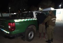Carabineros detuvo prolífico delincuente en el sector Loros quien mantenía dos órdenes vigentes