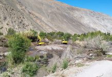 Dirección de Obras Hidráulicas de Atacama comenzó la limpieza del Río El Carmen