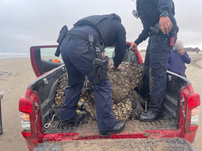 fiscalizacion-machas-atacama4
