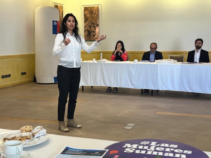 2 Ministerio de Energía y Generadoras de Chile realizan taller sobre desarrollo y evaluación ambiental de proyectos energéticos en Atacama