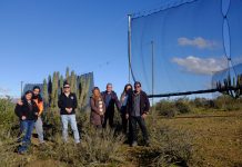 Científicos de CEAZA se refieren a la cosecha de agua a partir de la “camanchaca”