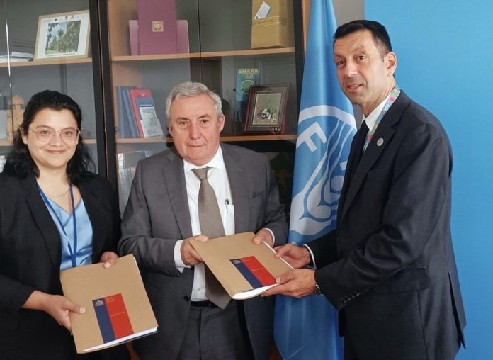 Directora de Odepa en FAO