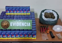 OPERATIVO POLICIAL EN VALLENAR TERMINÓ CON DETENIDO POR CONDUCCION BAJO EFECTOS DE ESTUPEFACIENTES E INFRACCION LEY DE ARMAS
