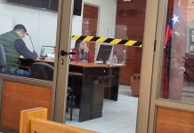 Sujeto apuñaló a perrita por discusión con vecino en Vallenar provocándole la muerte