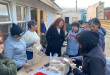 Fondo de Fortalecimiento (FFOIP) : Impulsando el desarrollo comunitario en Atacama