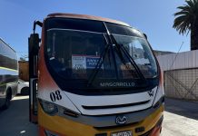 SEGUNDA VUELTA ELECCIONES 2024: 68 SERVICIOS GRATUITOS ESTARÁN OPERATIVOS DURANTE ESTE DOMINGO EN LA REGIÓN