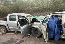 CUATRO PERSONAS FALLECIDAS EN ACCIDENTE DE TRÁNSITO AL INTERIOR DE TIERRA AMARILLA