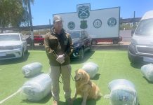 CARABINEROS DESARTICULÓ ORGANIZACIÓN CRIMINAL BOLIVIANA DEDICADA AL TRÁFICO DE DROGAS