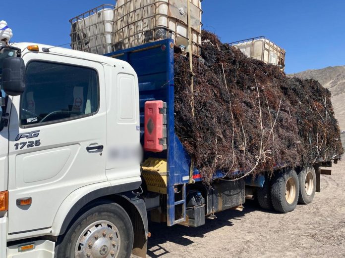 fiscalizacion-interregional-afta-atacama2