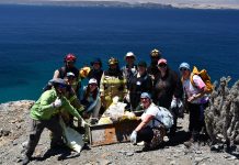 CONAF junto a comunidad limpiaron y retiraron más de 100 kilos de basura de isla Chañaral