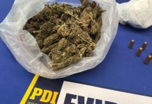 PDI ATACAMA INCAUTÓ MÁS DE UN KILO DE DROGA Y DOS ARMAS DE FUEGO EN OPERATIVO QUE DEJÓ DOS EXTRANJEROS IRREGULARES DETENIDOS